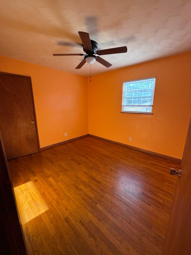 Emily DeAngelis's room