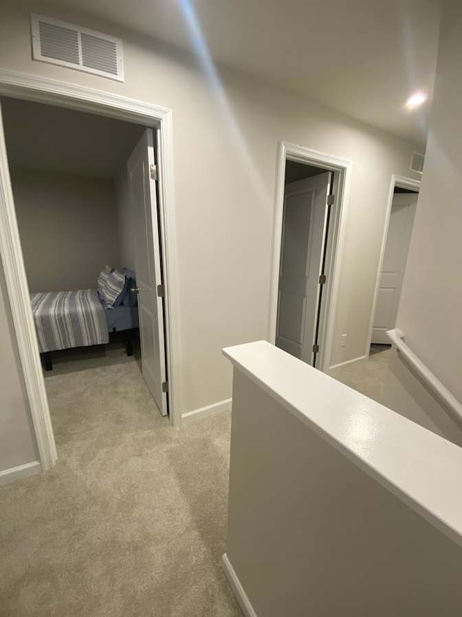 Taz's room