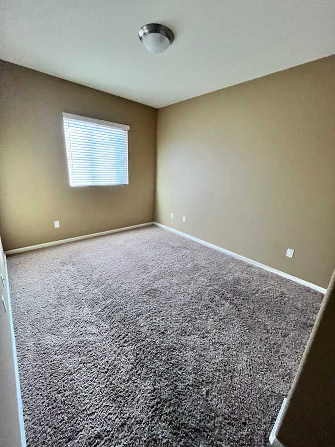Amy's room