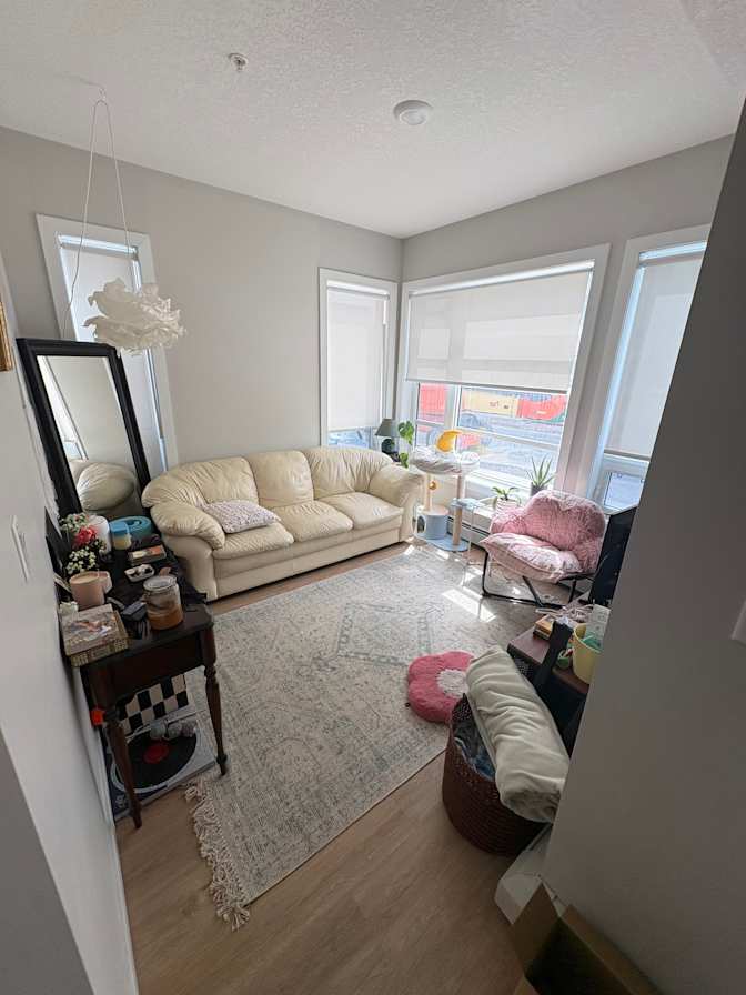 Camryn's room