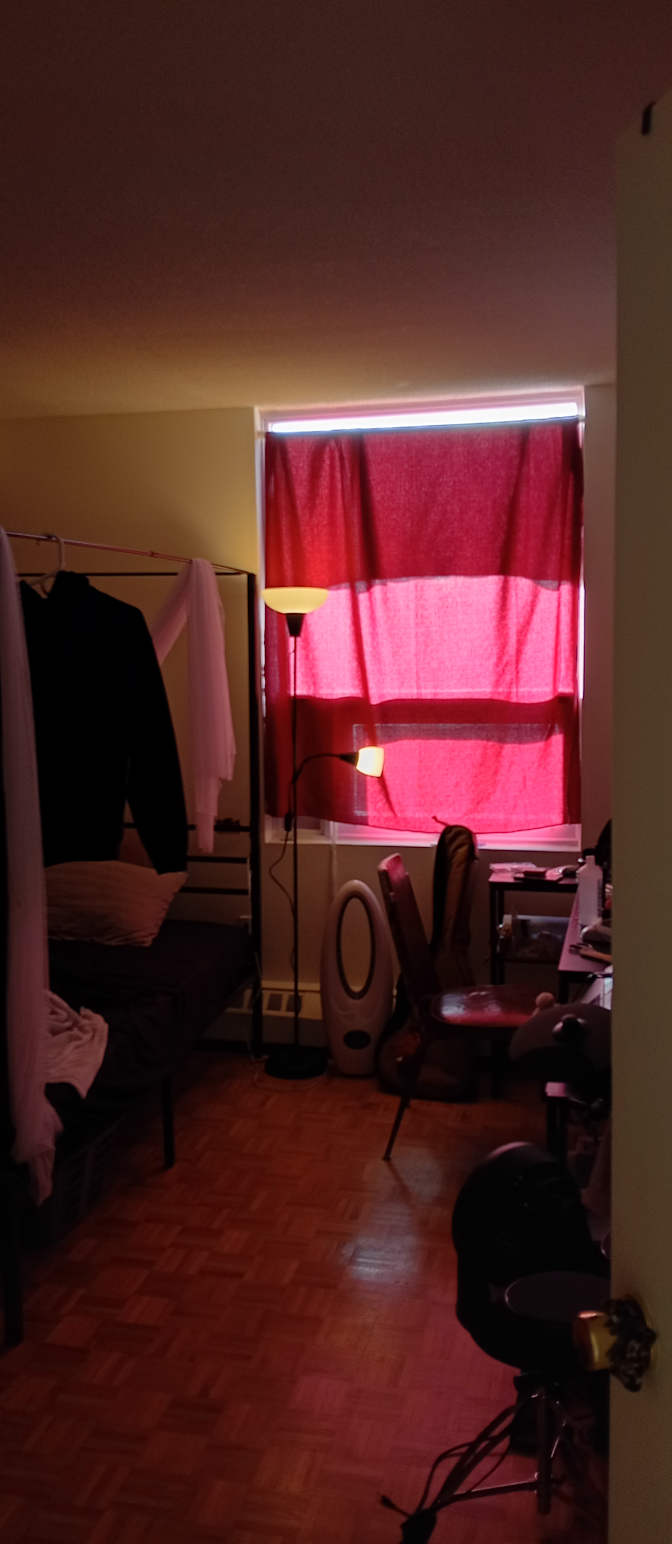 Cameron's room