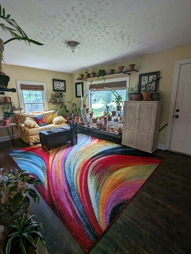 Elizabeth Collins's room