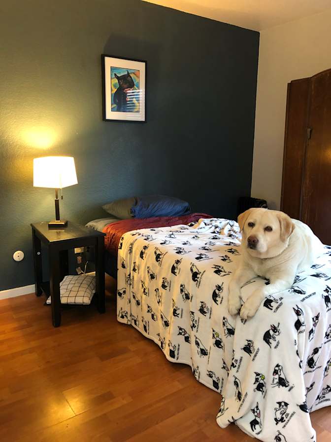 Brian's room