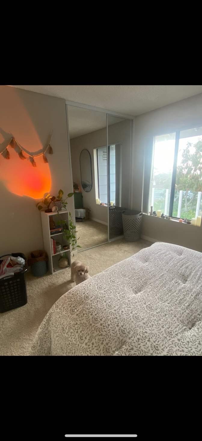 Hannah's room