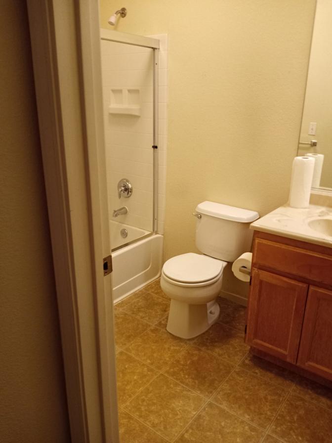 Mary's room