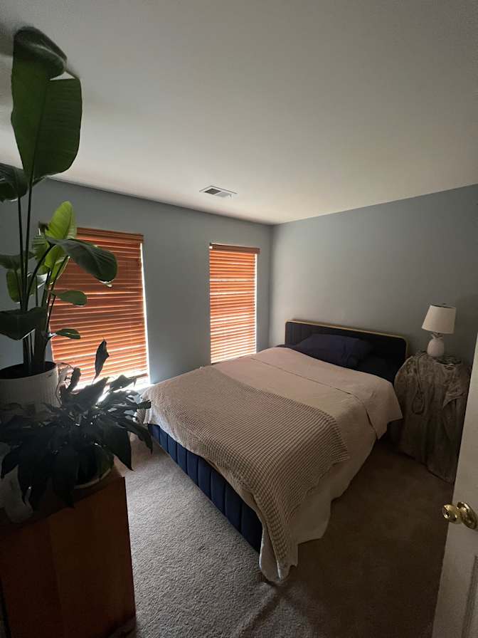 Robin Kovzelove's room