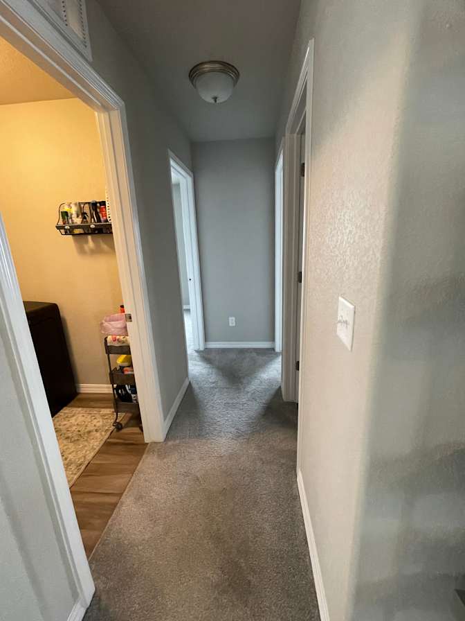 Michelle Starr's room