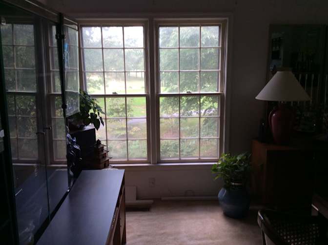 Rita's room