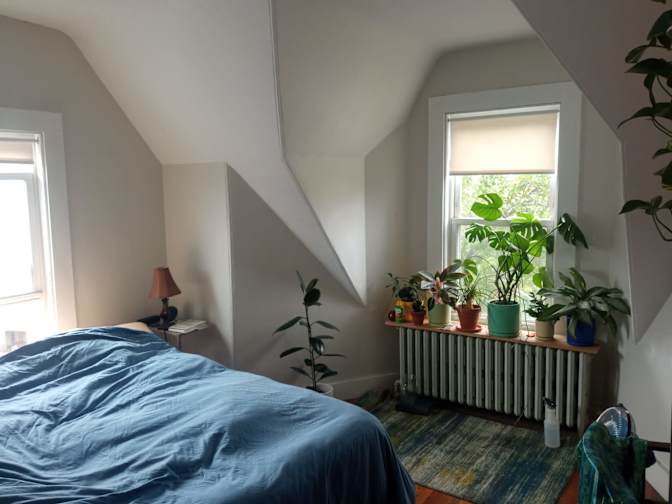 Wilkins's room