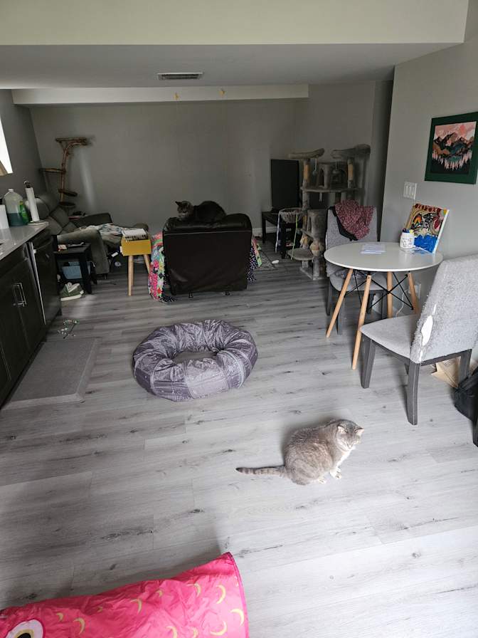 Rowan's room