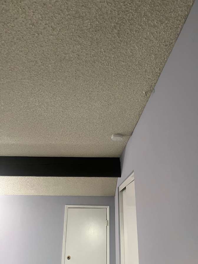 Belle Gonzales's room