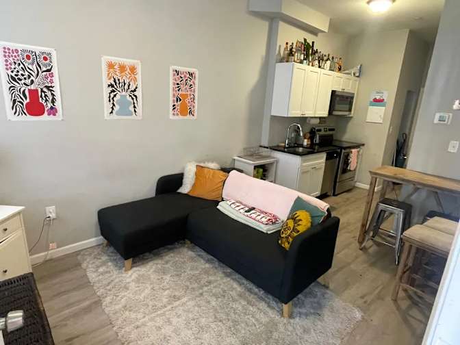 Large living room's room