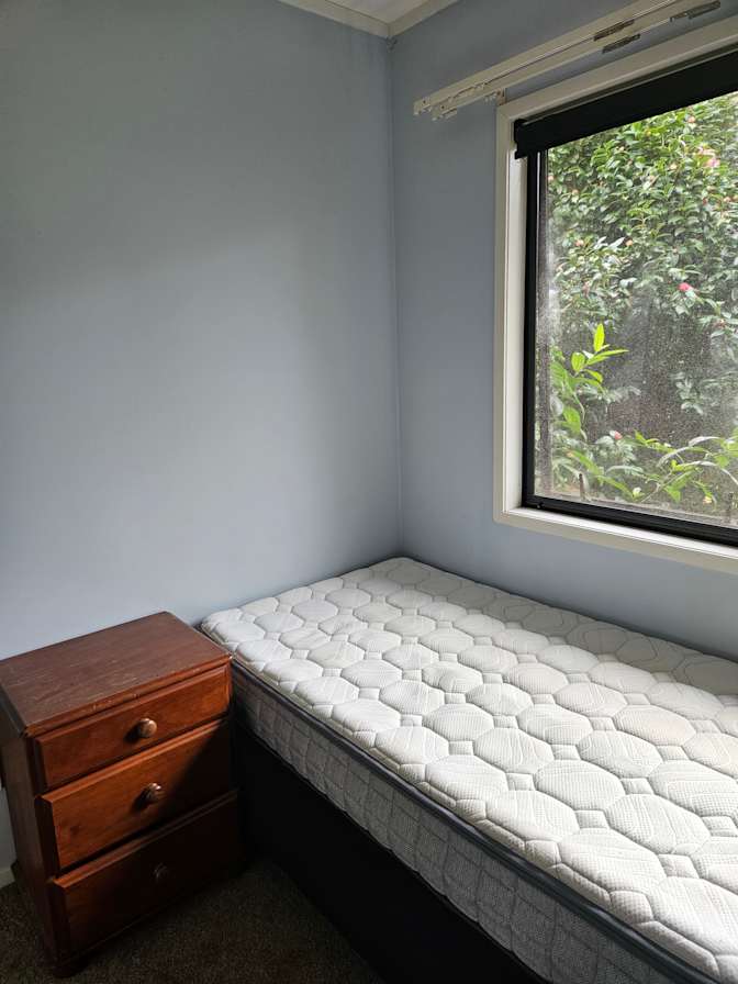 Shaun's room