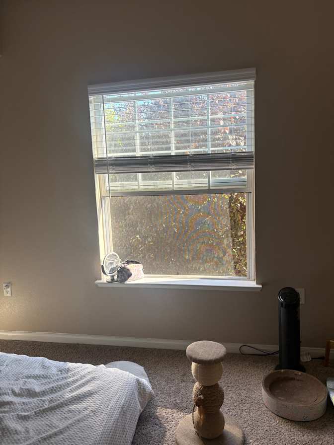 Tahlia's room