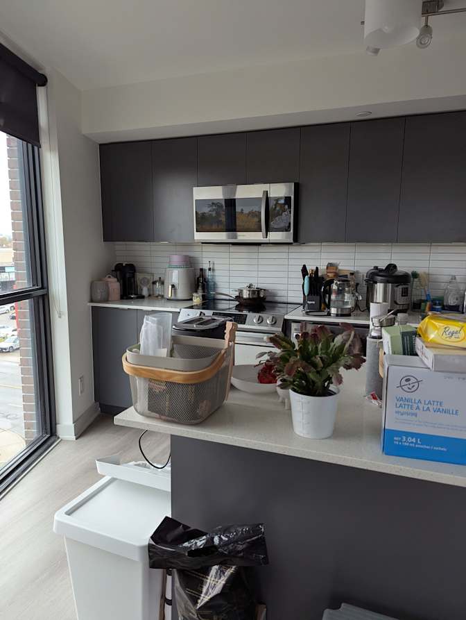 Nahid Tahrima's room