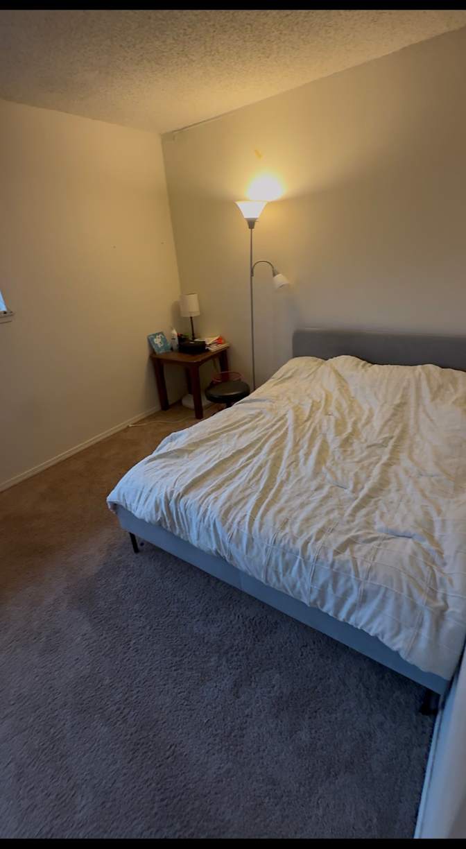 Navi's room