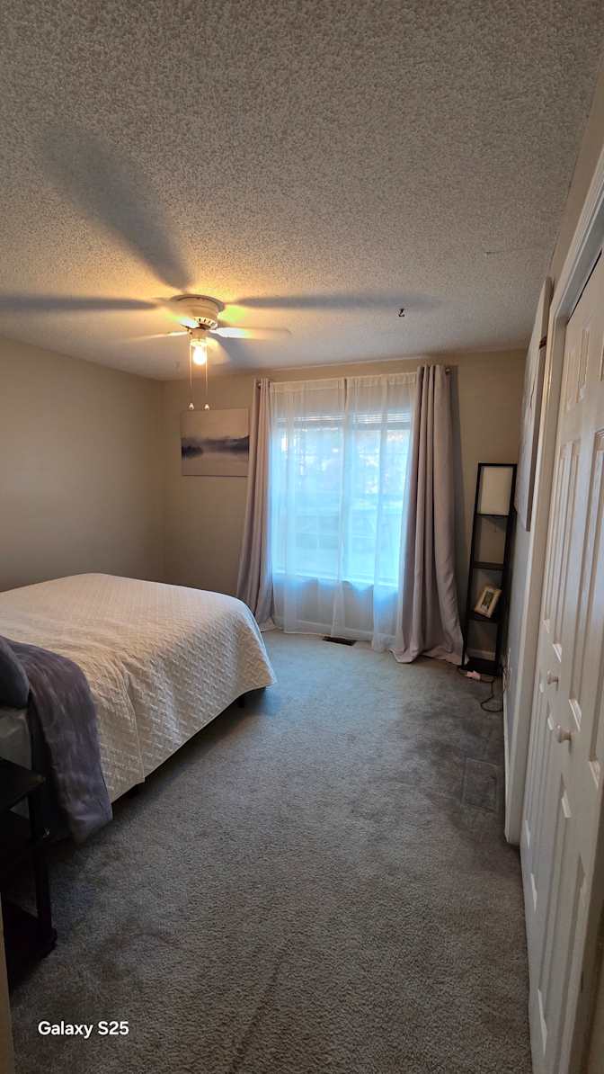 Florin's room
