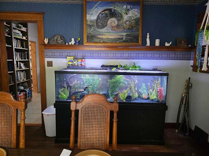 Shantell's room