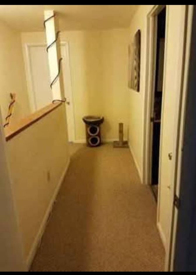 Elizabeth's room