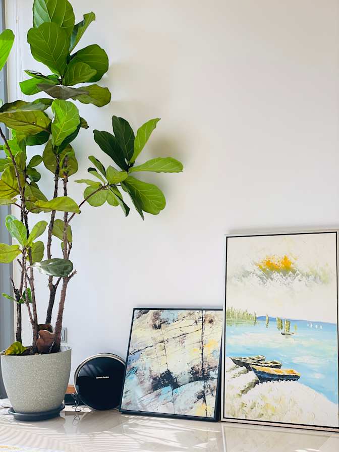 Yoyo's room