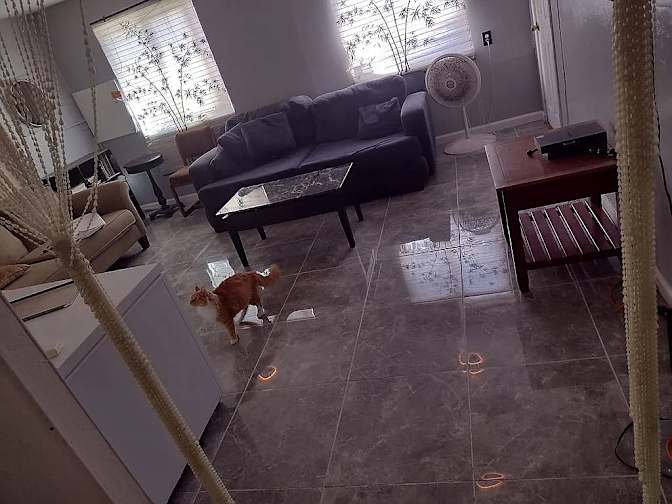 Navin Arjuna's room