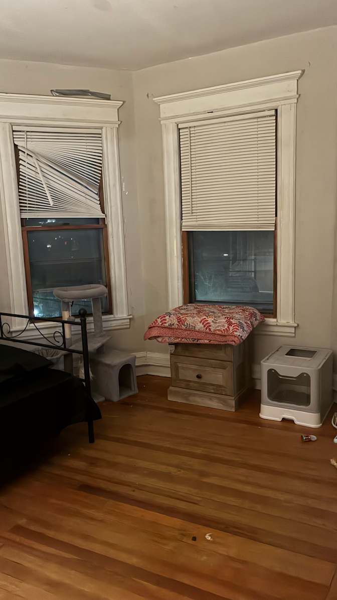 Rey's room