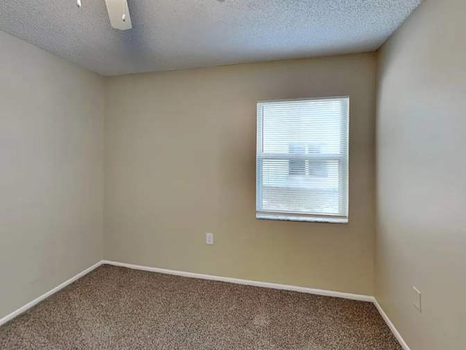 Andrew's room