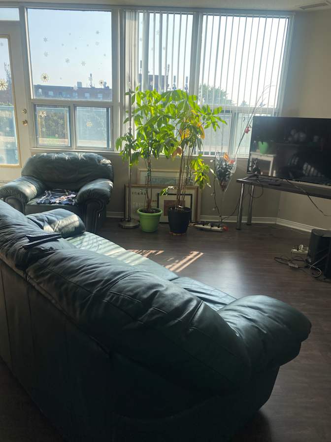 tom's room