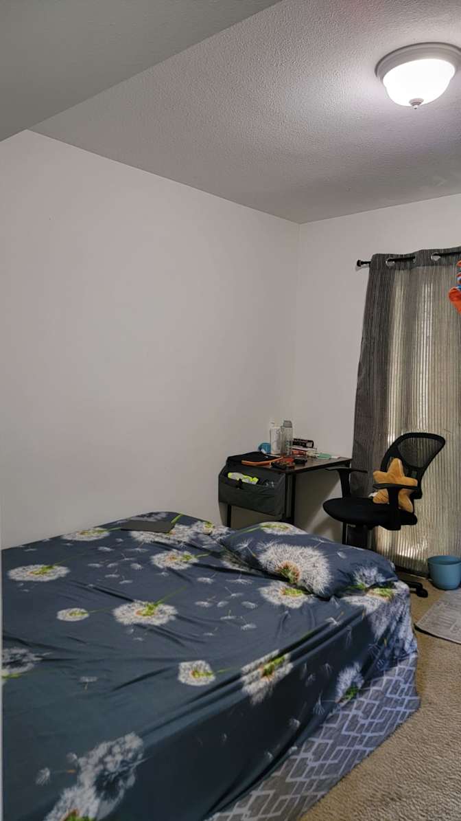 Alisha's room