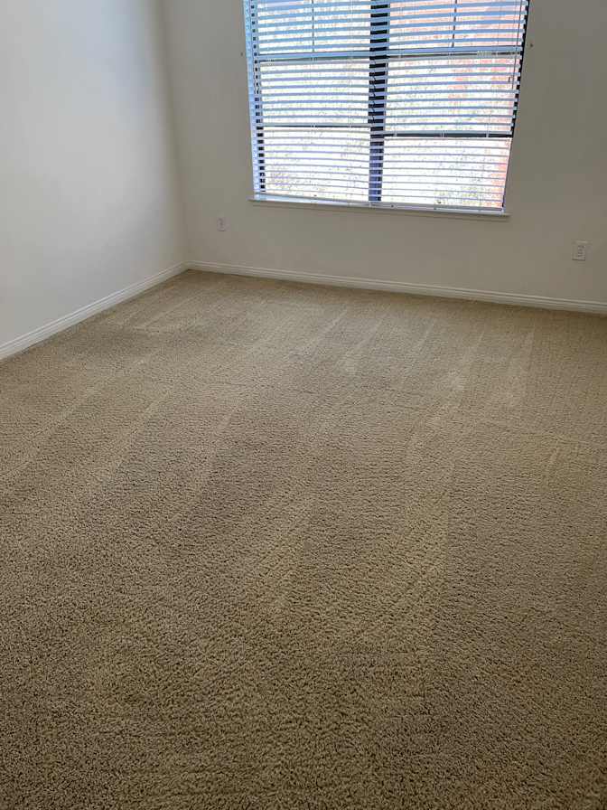 Tedd's room
