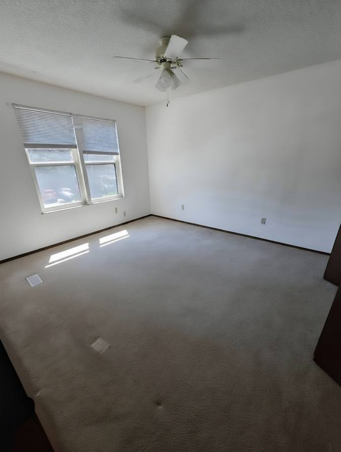 Kyle's room