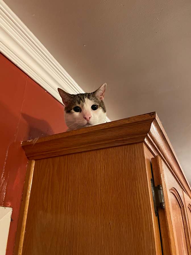 Ahash Francis's room