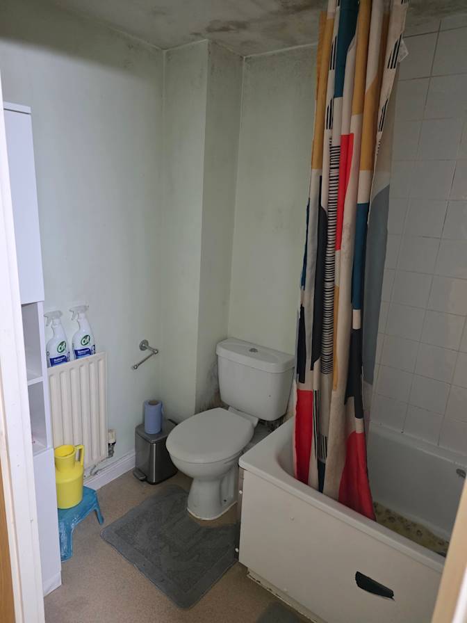 Musa's room