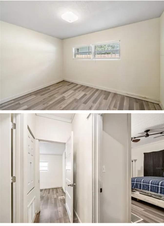 Andrea's room