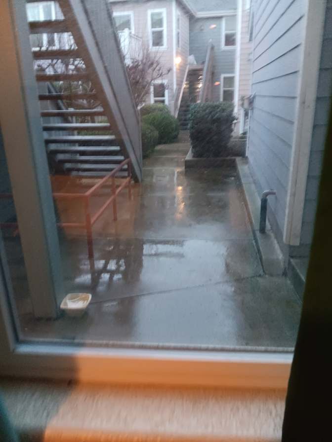 Mary's room