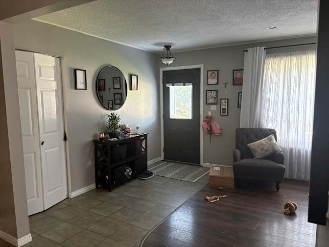 Shelly's room