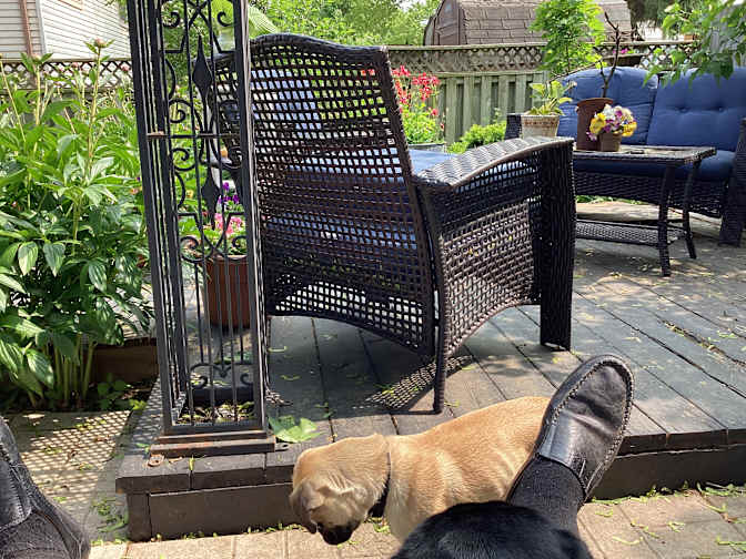 Jeffrey Pommer's room