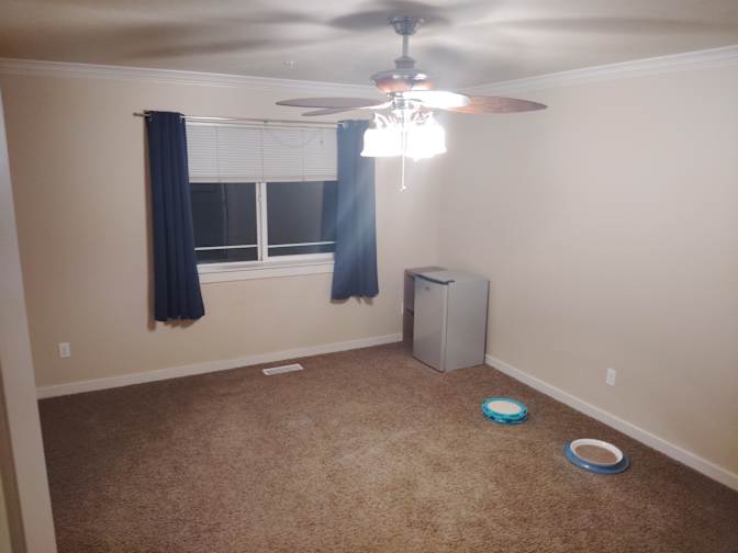 Ryan's room