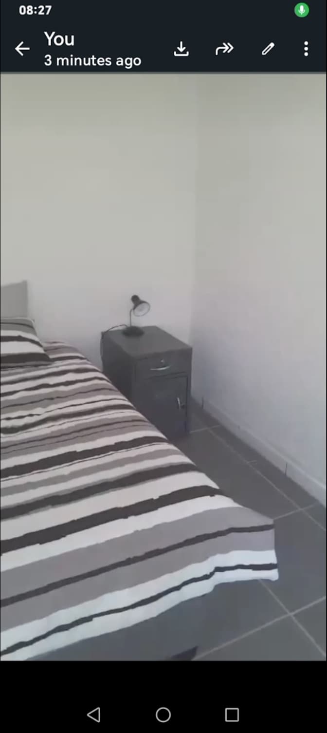 Sharky bester's room