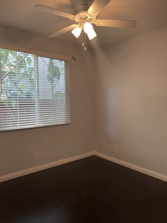 Sandy's room