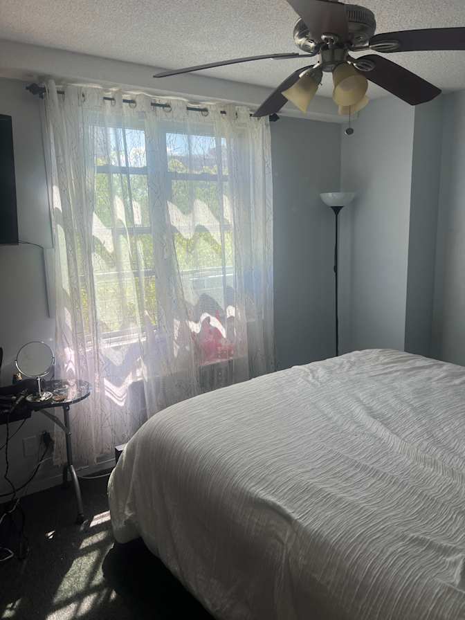 Mary's room