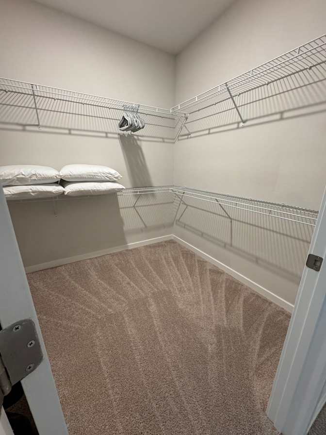 Ally's room