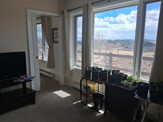 Brandi Arts's room