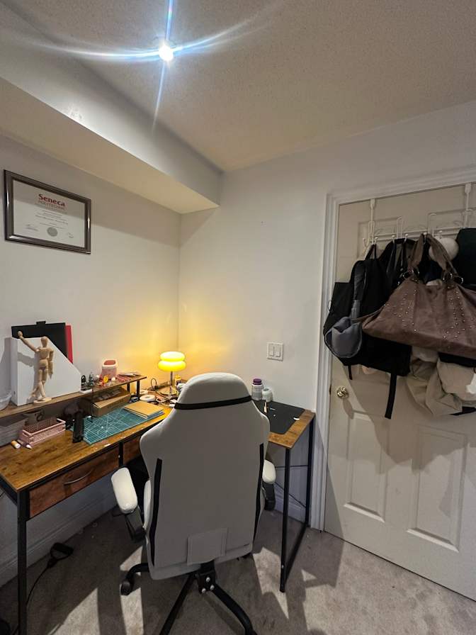 Lisa's room
