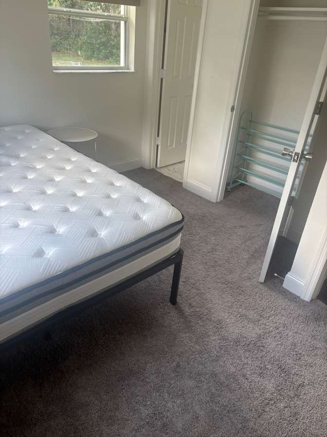 Mollie's room