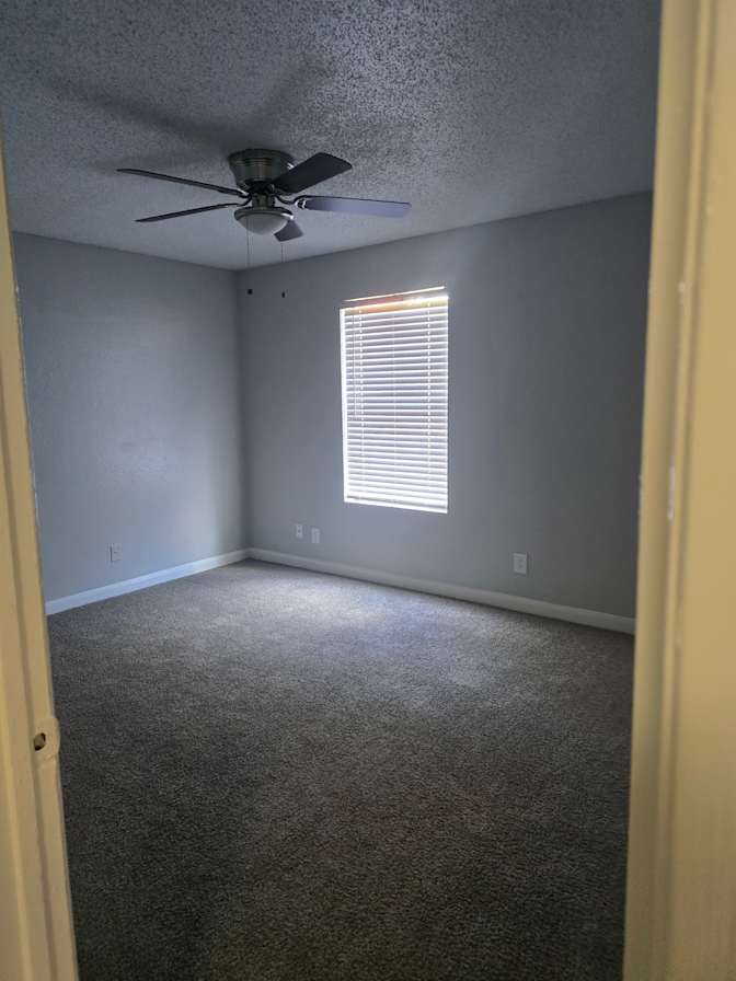 Stephanie's room