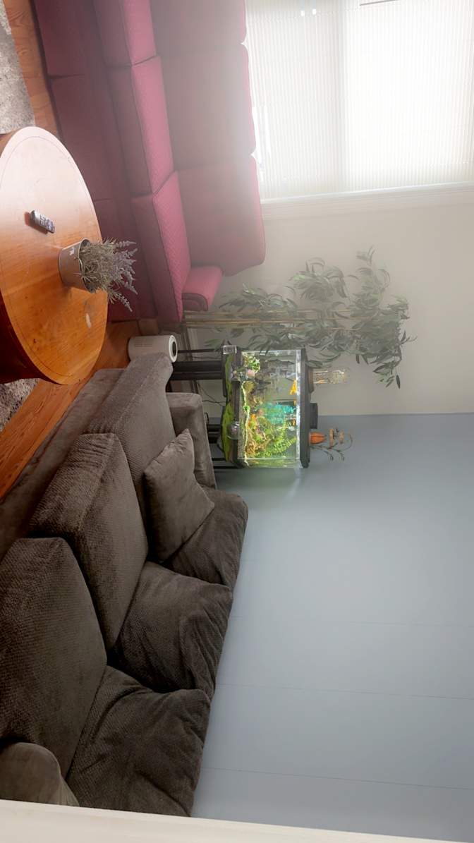 Fabris's room