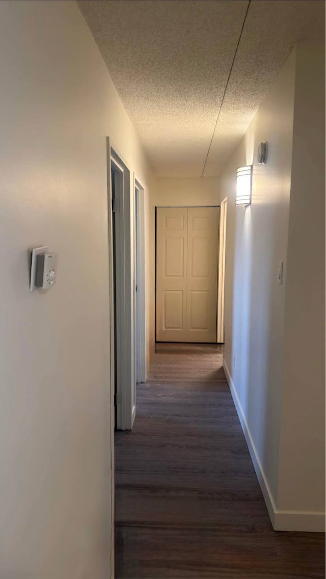 Hashim's room
