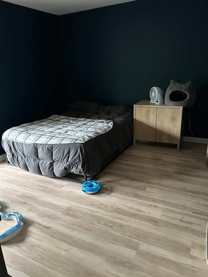 David Falcucci's room