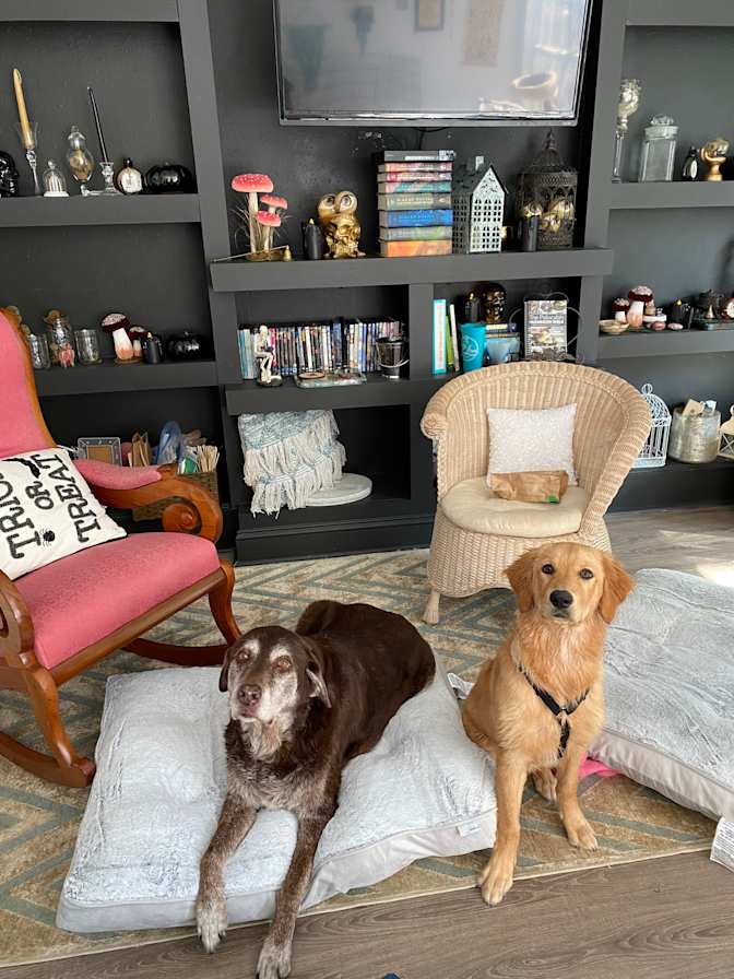 Sarah Davidson's room
